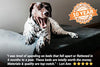 Big Barker 7" Pillow Top Orthopedic Dog Bed for Large and Extra Large Breed Dogs (Headrest Edition) - BESTMASCOTA.COM