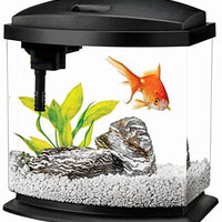 Aqueon - Kit de iniciación de acuario LED con iluminación LED - BESTMASCOTA.COM