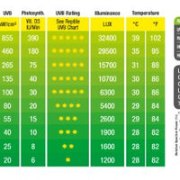 Lámpara de vapor de mercurio Exo Terra de alta intensidad, auto-lastrada, con luz UV y calor. - BESTMASCOTA.COM