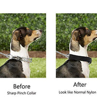 Mayerzon Collar de entrenamiento para perro, acero inoxidable, con puntas cómodas - BESTMASCOTA.COM