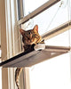 Kitty Cot Original World's Best Cat Perch - BESTMASCOTA.COM
