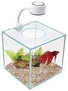 Marina CUBUS - Kit de cristal para Betta - BESTMASCOTA.COM