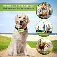 Collar para perro sin ladridos con detección inteligente de vibración y golpes inofensivos – Dispositivo recargable antiladridos para perros pequeños, medianos y grandes - BESTMASCOTA.COM