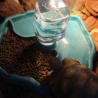 PIVBY - Dispensador automático de alimentos y agua para reptiles, tortuga y tortuga, para acuario, adorno, terrario, plato, lagarto, tortugas o reptiles. - BESTMASCOTA.COM