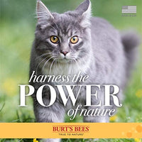Burt's Bees para gatos Champú natural sin agua con manzana y miel | Champú sin agua para gatos - BESTMASCOTA.COM