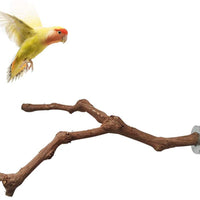 Kathson Parrot Perches, Pájaros Soporte Natural de Uva Silvestre Palo de Molienda de Canina Escalada de Pie Accesorios de Juguete Ramas para Parakeet, Budgies, Lovebirds - BESTMASCOTA.COM