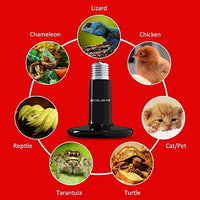 BYB – 150 W, 110 V, cerámica, calor infrarrojo emisor incubadora gallinero mascota lámpara de infrarrojos foco - BESTMASCOTA.COM