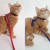 Gato Arnés y Correa Ajustable Cuello Nylon Azul, Rojo y 1 2 Pack perro One Size Fits All - BESTMASCOTA.COM