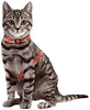 Azuza Arnés y Correa para gato para caminar, a prueba de escape, lindas piñas en color brillante, suave y ajustable arnés para gatos - BESTMASCOTA.COM