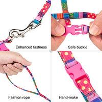 PUPTECK - Arnés para gato con correa, correa suave ajustable con diseño de moda - BESTMASCOTA.COM