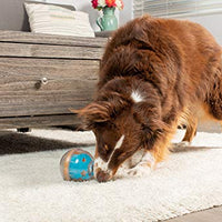 Juguete de bola con premio Pet Zone IQ para perros - BESTMASCOTA.COM