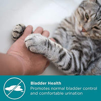 Maxxicat - MaxxiUtract Urinary and Bladder Supplement for Cats - Ayuda a prevenir la recurrencia UTI, soporta el control de la vejiga de línea y el sistema de tracto urinario Salud - Cranberry Formula Powder 2.1 oz - BESTMASCOTA.COM