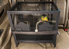 Prevue Pet Products - Transportín de viaje para pájaros, color negro - BESTMASCOTA.COM