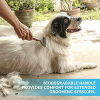 PawsPamper - Rastrillo para pelaje de perros medianos a grandes - BESTMASCOTA.COM