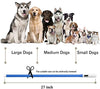 Collar LED para perro, recargable por USB, collar brillante para perro, cuello iluminado, mejora la seguridad y visibilidad de la mascota en la noche, 3 modos intermitentes, resistente al agua, collar iluminado para perros pequeños y medianos grandes - BESTMASCOTA.COM