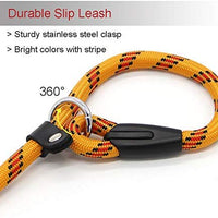 Correa Coolrunner collar de entrenamiento para mascota de Cesar el encantador de perros - BESTMASCOTA.COM