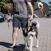 Correa táctica de nailon ajustable para perros de liberación rápida con 2 asas de control - BESTMASCOTA.COM