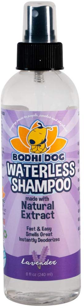 Champú para perros sin agua | Champú seco natural para perros o gatos no requiere enjuague | 100% no tóxico con extracto natural | Tratamiento aprobado por veterinarios - Fabricado en Estados Unidos - 1 botella de 8.1 fl oz - BESTMASCOTA.COM
