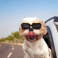 Enjoying Dog Goggles - Small Dog Sunglasses Waterproof Windproof UV Protection for Doggy Puppy Cat - BESTMASCOTA.COM