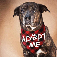 JPB Adopt Me - Bandana para perro (2 unidades) - BESTMASCOTA.COM