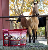 Flix 9 libras, 100% linaza saludables para caballos, alto en Omega-3 - BESTMASCOTA.COM