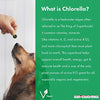 Sun chlorella- rejuv-a-wafers- Chlorella & Eleuthero Superfood Suplemento para perros y gatos (60 Obleas) - BESTMASCOTA.COM