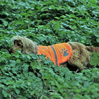 Chaleco reflectante de seguridad para perros, 5 tamaños para adaptarse a perros de 10 libras – 130 libras: alta visibilidad para actividades al aire libre día y noche, mantiene a tu perro visible, seguro de coches y accidentes de caza | Blaze Orange chale - BESTMASCOTA.COM