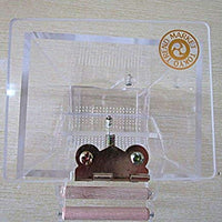 Jaula para Pájaros Auto Feeder For Love Birds de semillas, Budgies - BESTMASCOTA.COM
