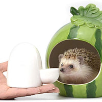 Dahey Alimentador de agua potable Cerámica Botella de agua de agua de agua dulce automático pequeñas mascotas para hámster erizo, chinchilla hurón pequeño cobayo, blanco, 8 onzas - BESTMASCOTA.COM