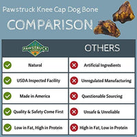 Pawstruck - Rodillera con forma de hueso para perros | Fabricado en Estados Unidos y natural | Larga duración para masticar carne hecha de ganado americano | Trato de carne con un solo ingrediente, sin sabores artificiales | Apoya la salud dental - BESTMASCOTA.COM