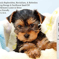 barklogic dejar en acondicionado Spray 16 fl oz | Sin parabenos, sin ftalatos, sin Sulfatos, sin Dea & Peg, hipoalergénico, vegetales - BESTMASCOTA.COM