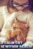 Mascota MasterMind Cat Spray - BESTMASCOTA.COM