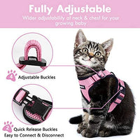 Eagloo Arnés de gato a prueba de escape, arnés de malla suave ajustable para gato con correa reflectante de metal para caminar chaqueta cómoda para mascotas Gatito cachorro conejo - BESTMASCOTA.COM