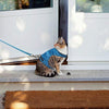 Arnés para gato a prueba de escapes con correa – Chaqueta de forro polar ajustable – Suave y ligero para gatitos, cachorros - BESTMASCOTA.COM