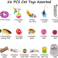 MIBOTE 24 piezas de juguetes para gatos, juguetes de gato, surtidos, túnel de 2 vías, pescado, molinillo de plumas interactivo, ratón esponjoso, jaula de ratones, bolas de arcoíris arrugadas campanas juguetes para cachorro gatito, Básico - BESTMASCOTA.COM