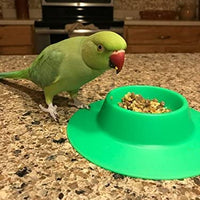 staybowl tip-proof ergonómico Pet Bowl para Conejillo de Indias y otros pequeños mascotas, 1/4 tazas de tamaño pequeño, verde primavera - BESTMASCOTA.COM