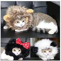 pawaboo Pet Costume, Fancy cómodo esponjoso gato peluca Sombrero Ropa Disfraz Para Cosplay Halloween Navidad Festival Party Dressing Up - BESTMASCOTA.COM