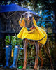 Fashion Pet días lluviosos Slicker Amarillo Raincoat - BESTMASCOTA.COM