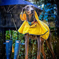 Fashion Pet días lluviosos Slicker Amarillo Raincoat - BESTMASCOTA.COM