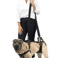 Arnés para perro, soporte de elevación y ayuda, SOLVIT Carelift - BESTMASCOTA.COM