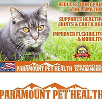 Paramount mascota salud líquido Glucosamina para gatos | Gato cadera y suplemento líquido las articulaciones con glucosamina condroitina MSM y taurina | Fabricado en EE. UU. - BESTMASCOTA.COM