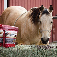 Flix 9 libras, 100% linaza saludables para caballos, alto en Omega-3 - BESTMASCOTA.COM