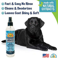 Champú para perros sin agua | Champú seco natural para perros o gatos no requiere enjuague | 100% no tóxico con extracto natural | Tratamiento aprobado por veterinarios - Fabricado en Estados Unidos - 1 botella de 8.1 fl oz - BESTMASCOTA.COM