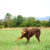 Chuckit! Ultra Ball - BESTMASCOTA.COM