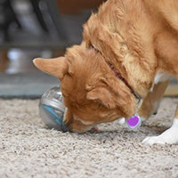 Juguete de bola con premio Pet Zone IQ para perros - BESTMASCOTA.COM