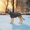SlowTon - Abrigo de invierno para perro, cálido forro polar para perro, chaqueta exterior con cuello alto y bufanda reflectante, a rayas, ajustable, impermeable, resistente al viento, chaleco suave para cachorros - BESTMASCOTA.COM