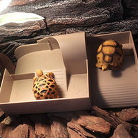 Creation Core Deluxe – Tortuga Laguna con rampa de vaso Vivarium Box Reptile Habitat para Tortoise anfibio acuario tanque - BESTMASCOTA.COM