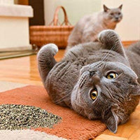 Garry's Pets Catnip – Nuestro máximo potencial Premium mezcla Nip que sus gatos van loco sobre - BESTMASCOTA.COM