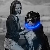 BSEEN Collar LED para perro, recargable por USB, collar brillante para perro para la seguridad nocturna, collar de moda para perros pequeños, medianos y grandes - BESTMASCOTA.COM