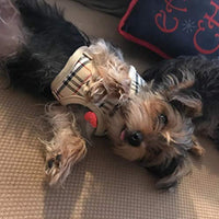 Ringloose - Arnés de malla suave para perros pequeños, medianos, cachorros, mascotas, fácil de controlar, para caminar y entrenar - BESTMASCOTA.COM